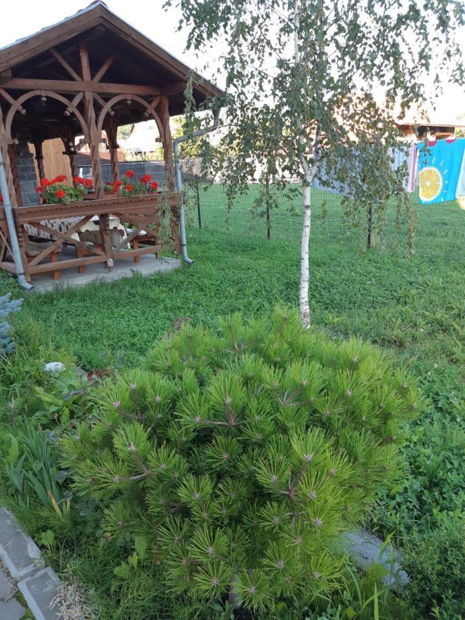 Ibolya-Imola Bed and Breakfast Praid Εξωτερικό φωτογραφία